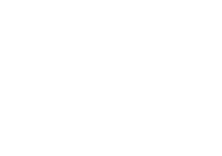 AltumView